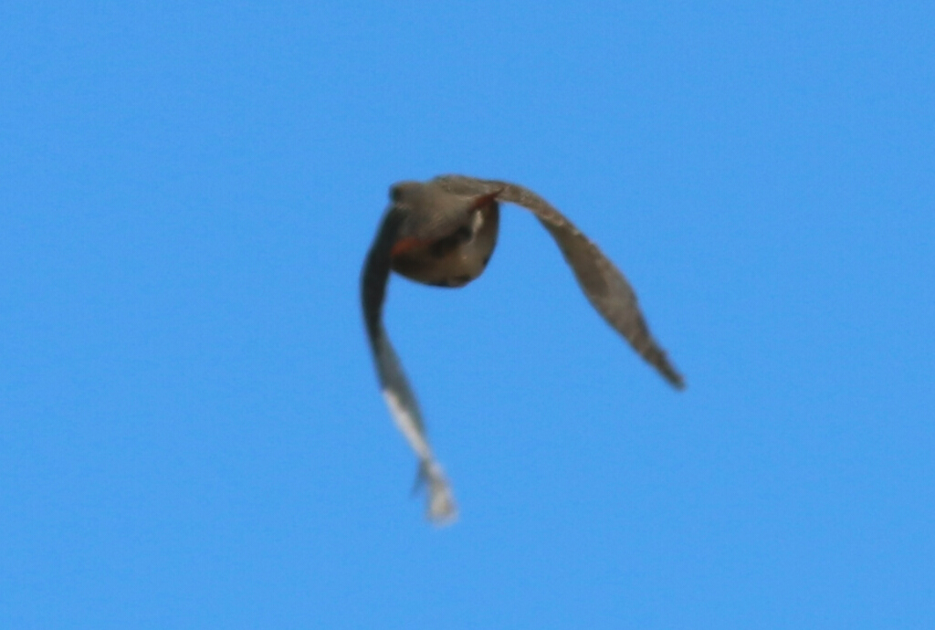Çilkeklik