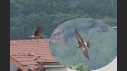 Tanımsız