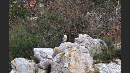 Tanımsız