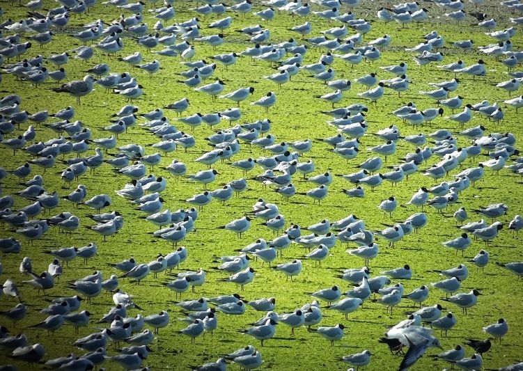Tanımsız