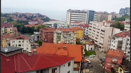 Leş Kargası