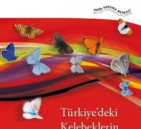 KELEBEKLERİN KIRMIZI KİTABI İNTERNETTE