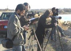 ŞANLIURFA'DA 54 BİN 362 KUŞ GÖZLEMLENDİ