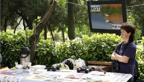 Alternatif Gençlik Haftası İKGT Tanıtımı