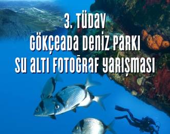 SU ALTI FOTOĞRAF YARIŞMASI