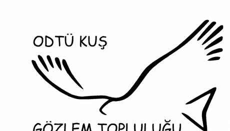 ODTÜ Kuş Gözlem Topluluğu OKGT Sizi Çağırıyor