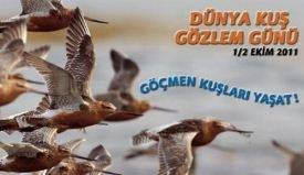 DKGG de Neler Oldu?