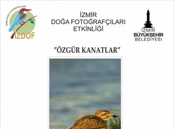 Ömer Kulaçoğlu ndan ÖZGÜR KANATLAR