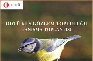 Örnek haber adı gelecek.