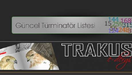 Türminatör Listemiz