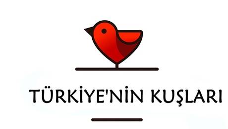 Örnek haber adı gelecek.