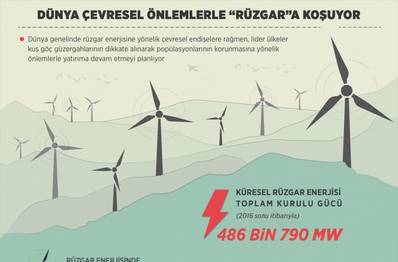 Türkiye Rüzgar Enerjisinde Kuş Yollarına Dikkat Ediyor