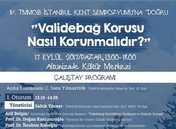 Validebağ Kuşları