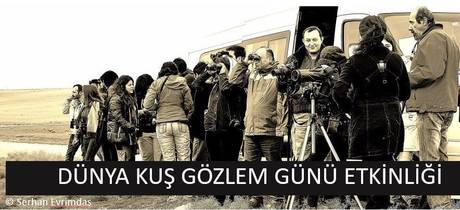 DÜNYA KUŞ GÖZLEM GÜNÜ ODTÜ ETKİNLİĞİ