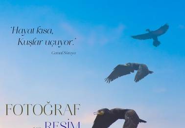 7 Foto 7 Resim