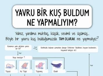 Üreme dönemi başlıyor!