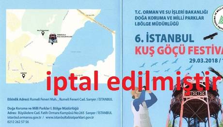 6. İstanbul Kuş Göçü Festivali İptal Edildi