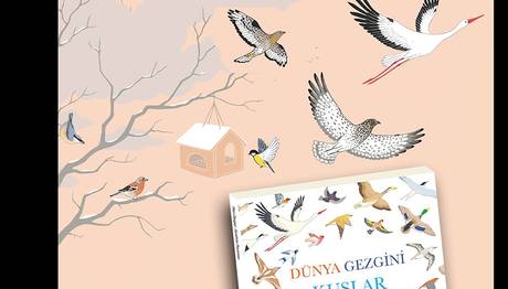 Dünya Gezgini Kuşlar - Çocuk Kitabı