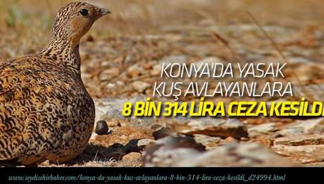 Yasak Kuş (Bağırtlak) Avlayanlara 8 Bin 314 Lira Ceza Kesildi
