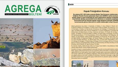 Madencilik Bülteninde Üyemizin Kuş Fotoğraf  ve Gözlemleri