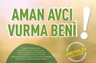 Aman Avcı Vurma Beni!
