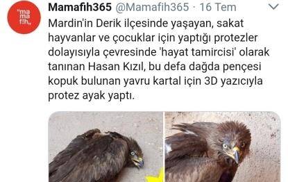 Örnek haber adı gelecek.