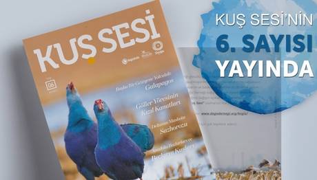 Kuş Sesi 6. Sayısı Yayında
