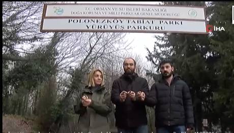 İstanbul'da Şok Operasyon: Doğaya Salındılar