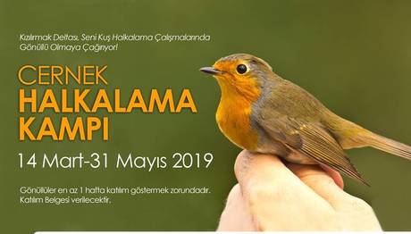 Halkalama 2019 İlkbahar