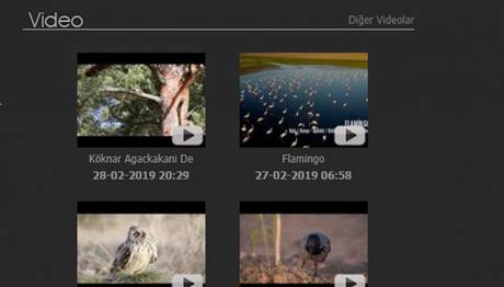 Trakus Video Bölümü Yenilikler