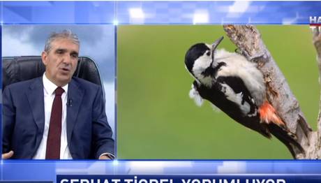 7/7/2019 Haber Türk Airport Programı