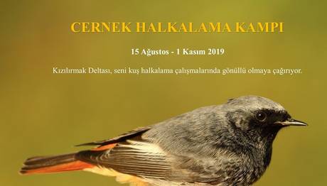 Cernek Halkalama Kampı