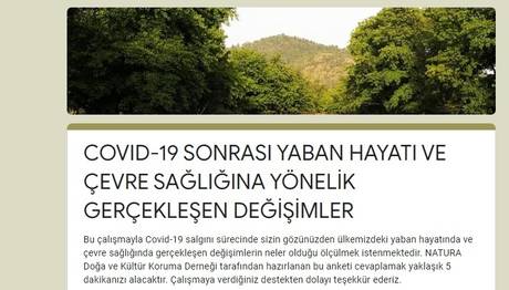 Covid 19 Sonrası Yaban Hayat