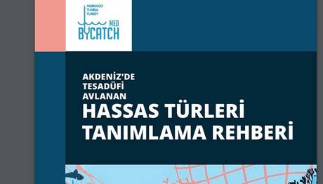 Akdeniz Hassas Tür Rehberi Yayımlandı