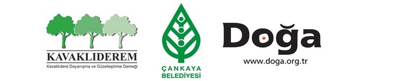 fotograflarimiz-