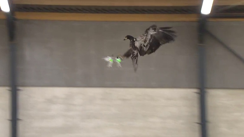 drone-avcisi-kartal