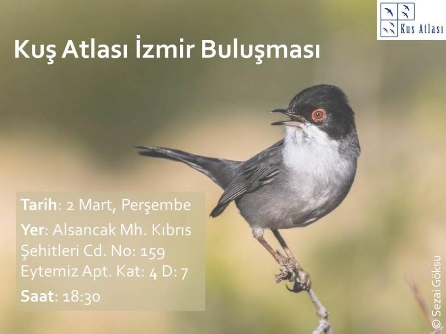 kus-atlasi-fotografci-gonullulerini-ariyor!