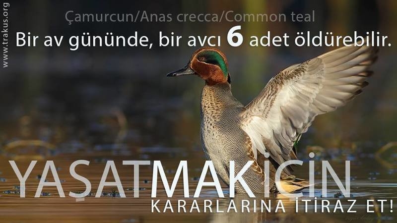 yasatmak-icin