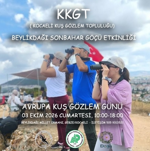 etkinlik-