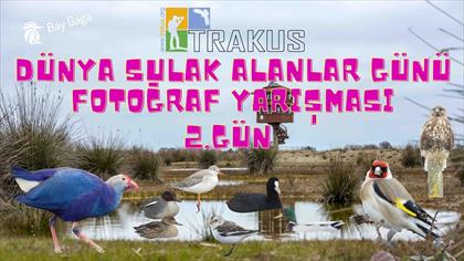 TRAKUŞ Bafra 2. Gün