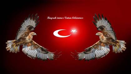 Tanımsız
