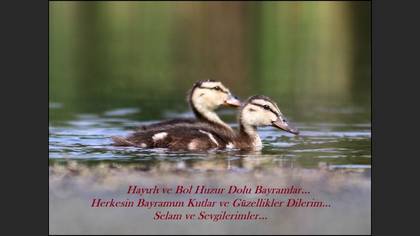 Tanımsız