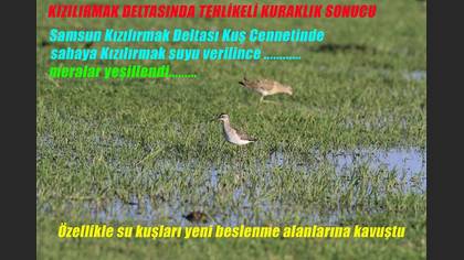 Tanımsız