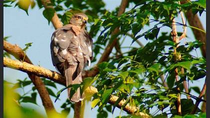 Tanımsız