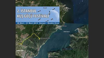 Tanımsız