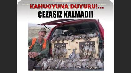 Tanımsız