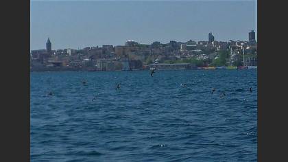 Tanımsız