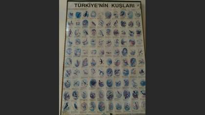 Tanımsız