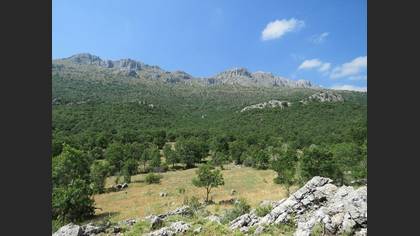 Tanımsız