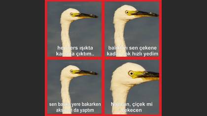 Tanımsız